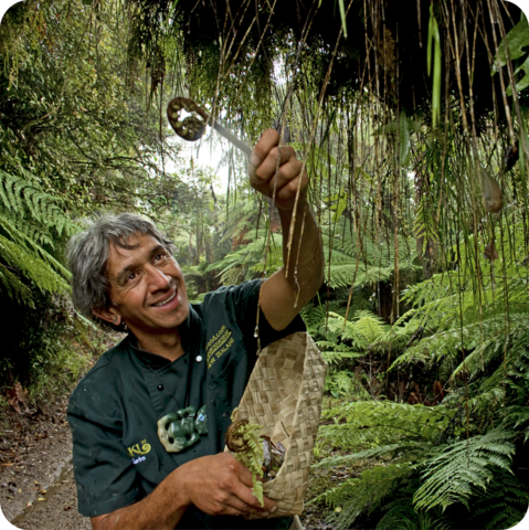 Exploring nature in New Zealand