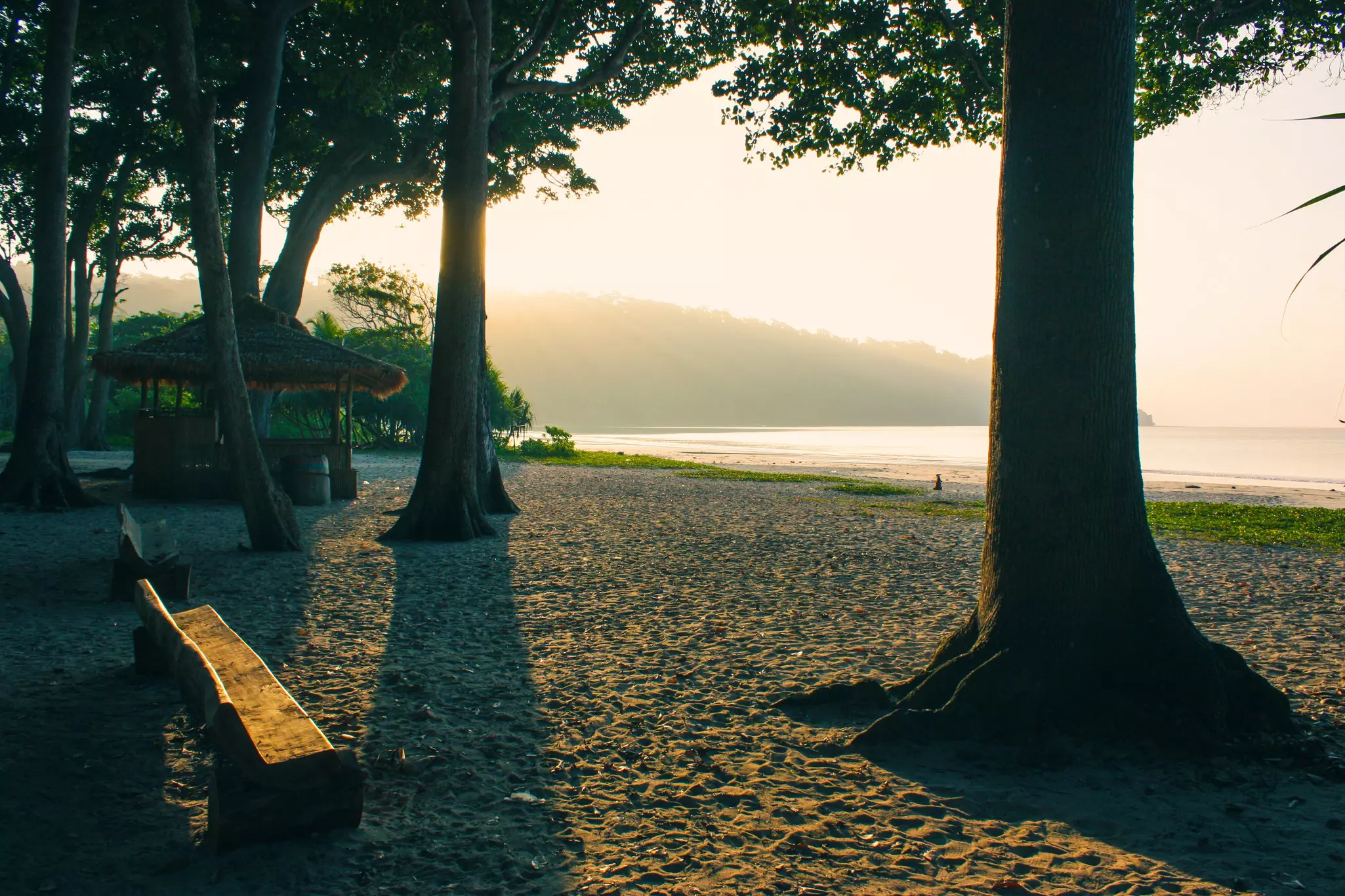 Trees, bench and a grass-roofed hut with the ocean and a hillside in the distance.