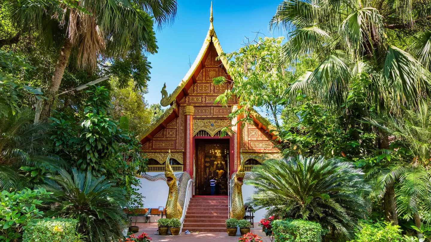Wat Phra Kaew temple: a small sloping-roofed building, adorned in gold leaf and surrounded by trees and plants.