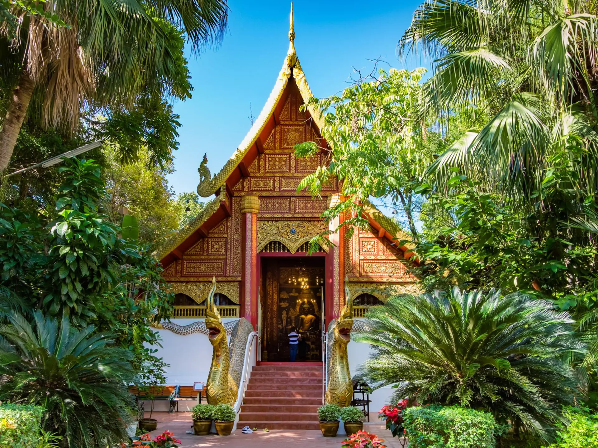 Wat Phra Kaew temple: a small sloping-roofed building, adorned in gold leaf and surrounded by trees and plants.