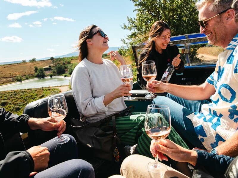 At the first stop of the tour, Cristina explains interesting facts about the region, different wines, and the plants before everyone gets out of the 4x4 to stretch their legs and see the grapes. Friday, Aug. 28, 2026, Bodegas Lecea, La Rioja, Spain 