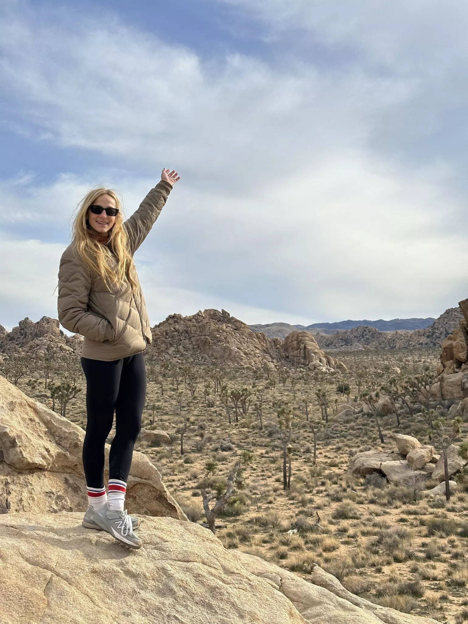 Joshua Tree National Park is one of the best places to see the dramatic differences in these seemingly similar ecosystems © Annie Greenberg / Lonely Planet