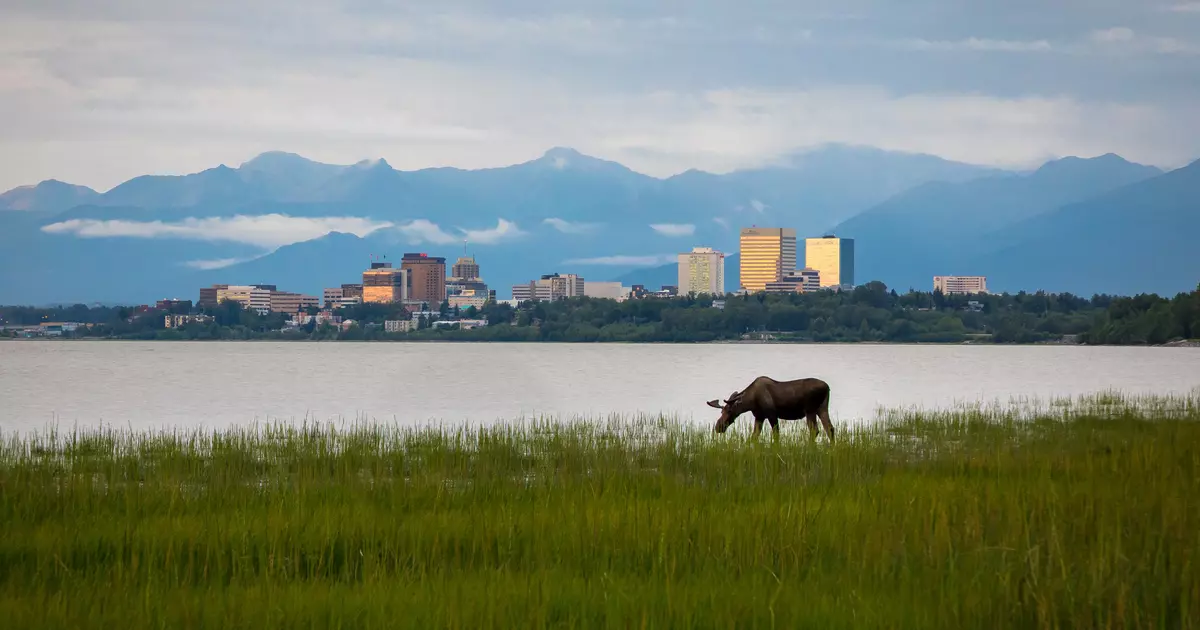 10 things to know before visiting Anchorage - Lonely Planet