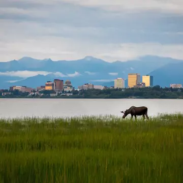 A large creature with antlers grazes in grassland beside a lake with mountains and a city skyline in the distance.