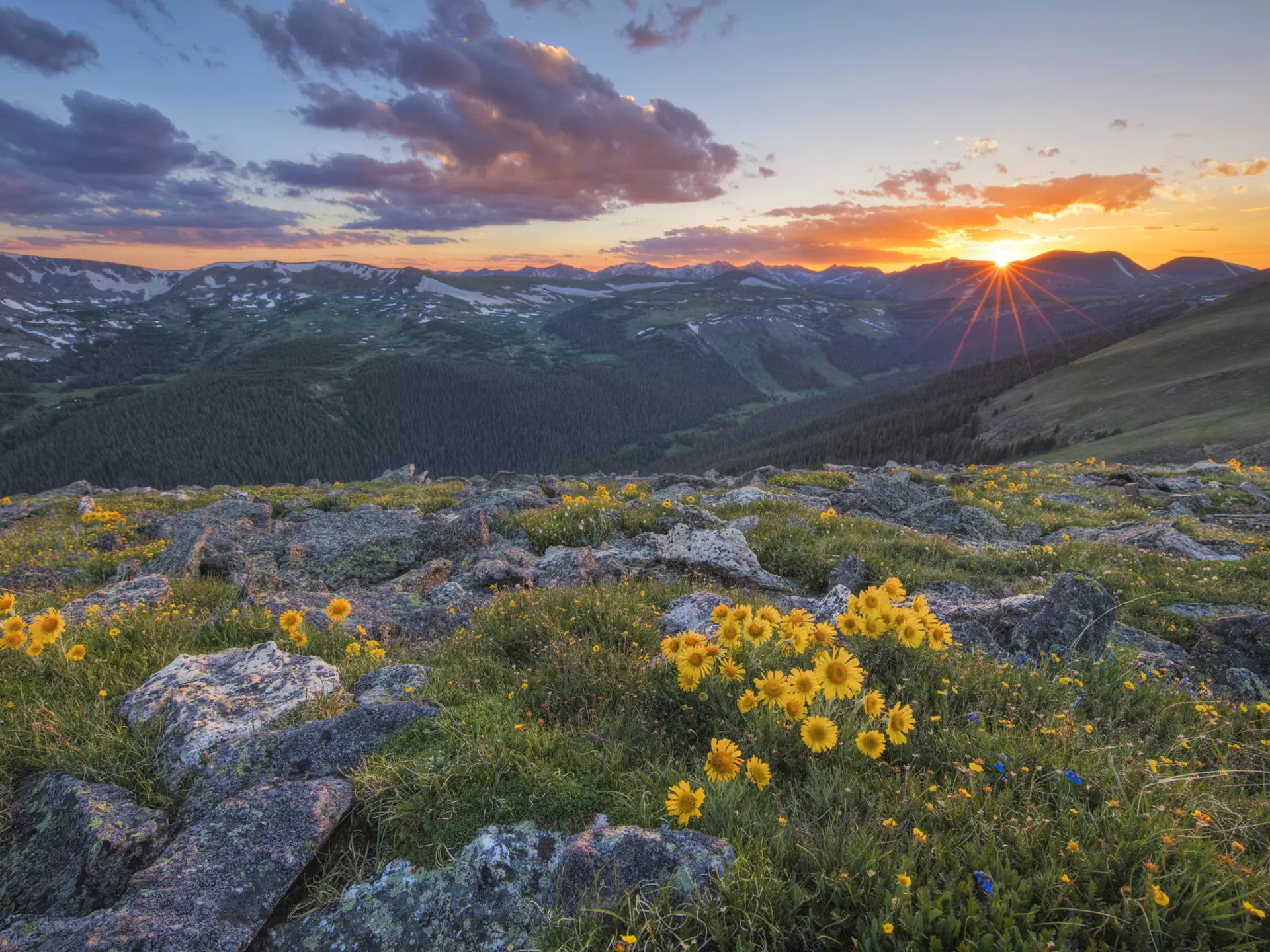 With a variety of elevations, the Rocky Mountains have an extended wildflower season. Rob Greebon / 500px / Getty