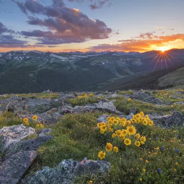 With a variety of elevations, the Rocky Mountains have an extended wildflower season. Rob Greebon / 500px / Getty