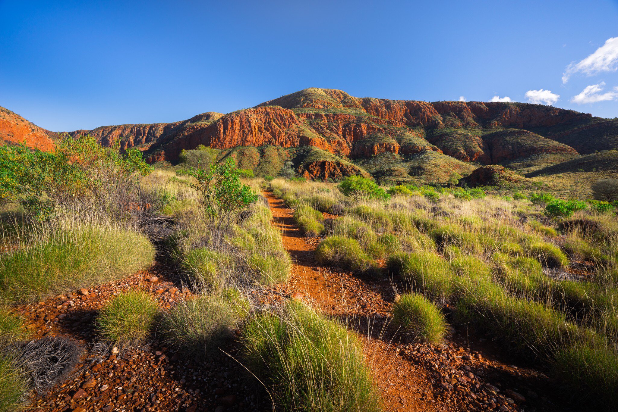 Ormiston Pound, Northern Territory, Australia.