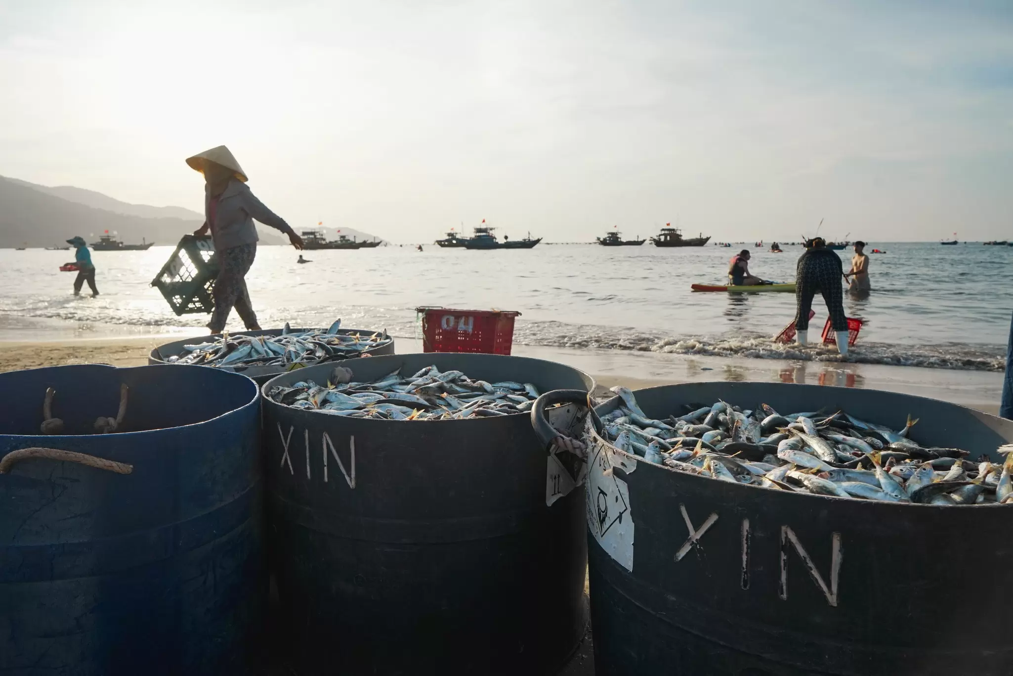 Barrels of fresh fish are seen on a beach during an early morning market in Danang, Vietnam