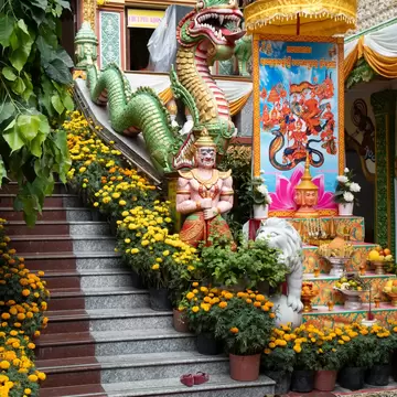 The Pitu Kohsa Rangsay Pagoda surrounded by vibrant flowers in Can Tho, Vietnam.