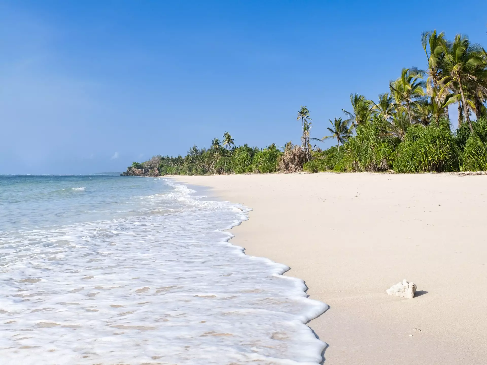 157696633
Africa;, Beach;, Beauty, In, Nature;, Empty;, Exoticism;, Famous, Place;
Coral and palm trees on the idyllic beach at Msambweni, near Diani on the Kenyan Coast, West Africa.