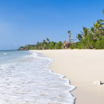 157696633
Africa;, Beach;, Beauty, In, Nature;, Empty;, Exoticism;, Famous, Place;
Coral and palm trees on the idyllic beach at Msambweni, near Diani on the Kenyan Coast, West Africa.