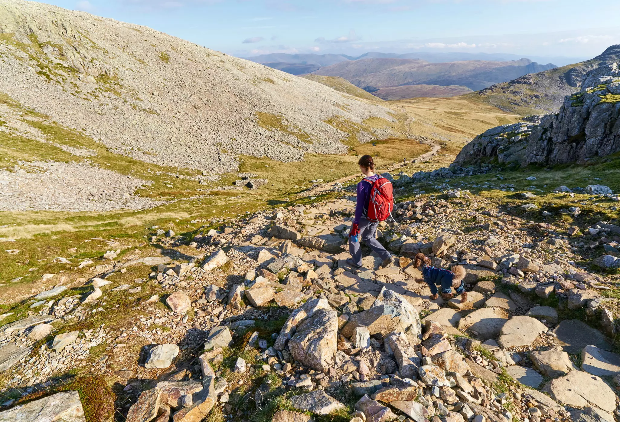 A hiker walking down towards Esk Hause, Grains Gill from Scafell Pike in the English Lake District. UK.