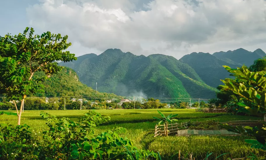 Mai Chau valley floor of green rice paddies and bamboo fences, village houses at the foot of steep forested mountains