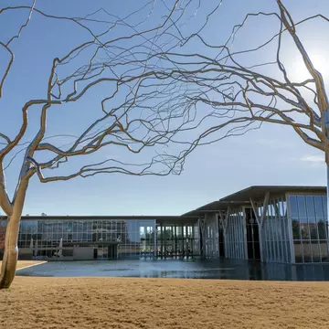 FORT WORTH, UNITED STATES - Dec 29, 2018: Roxy Paine Trees at Fort Worth Modern Art Museum  The stainless steel is bent into lifelike shapes  Also The museum and reflecting pond