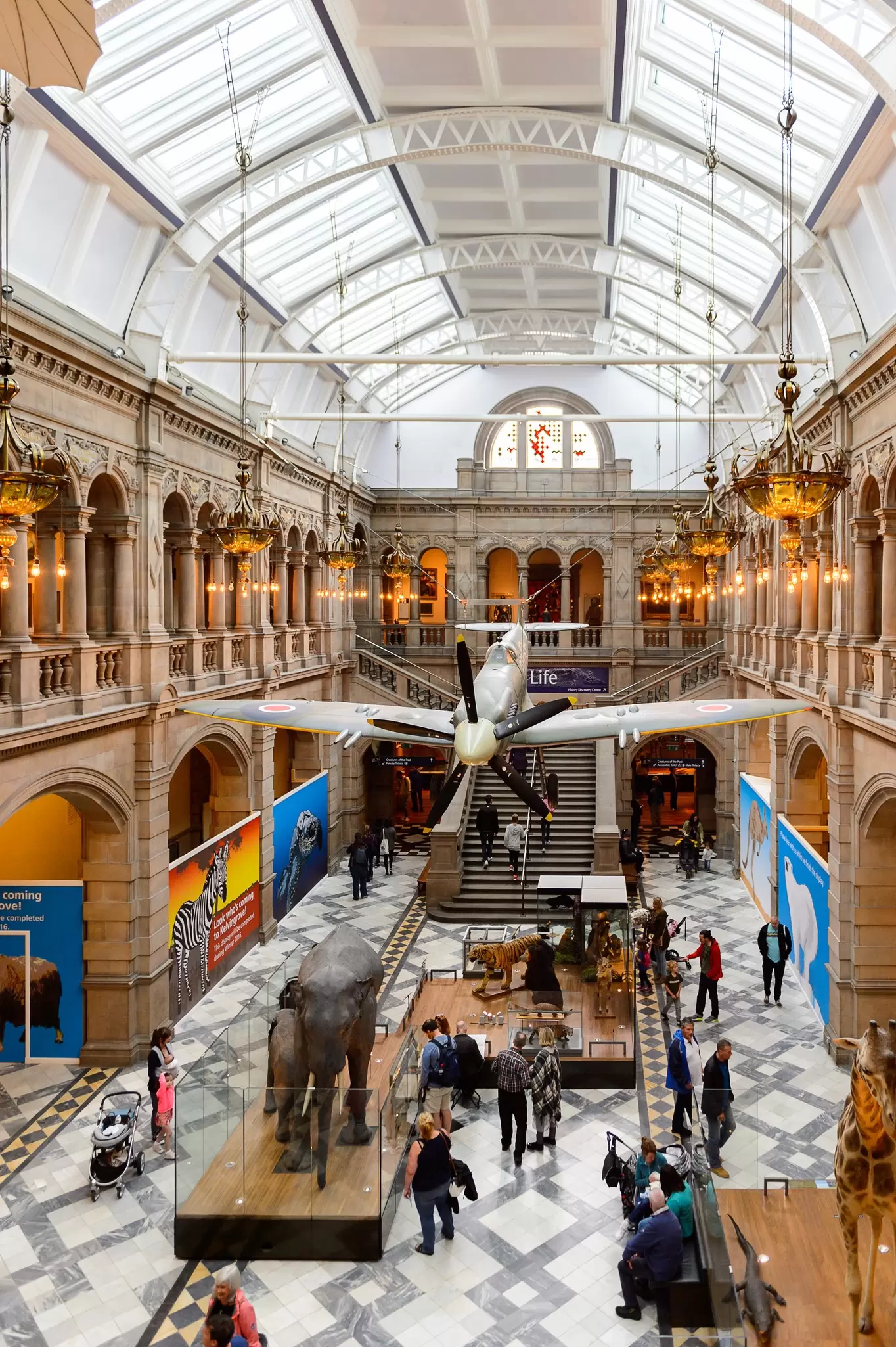 A Spitfire F.21 LA198 among the animals at the Kelvingrove Art Gallery and Museum, Argyle Street, Glasgow.