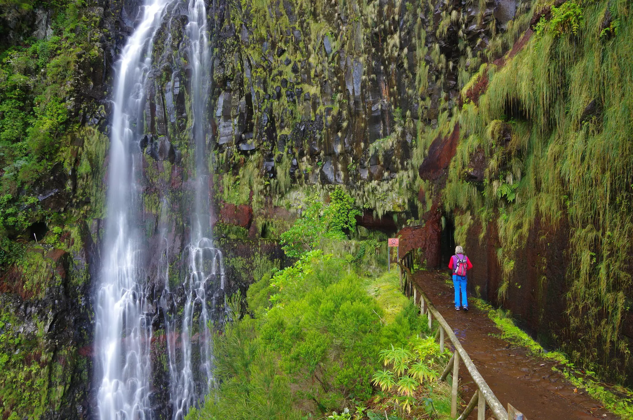 A hiker passes Risco waterfall and a leafy forest in Madeira.