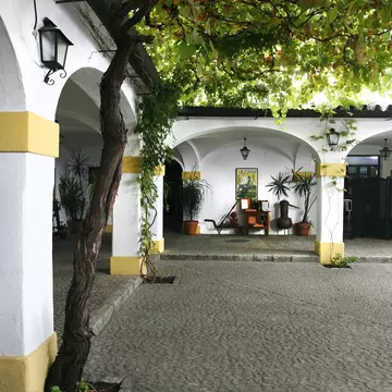 The Patio at Bodega Tradicion, Jerez de la Frontera, Andalucia, Spain.