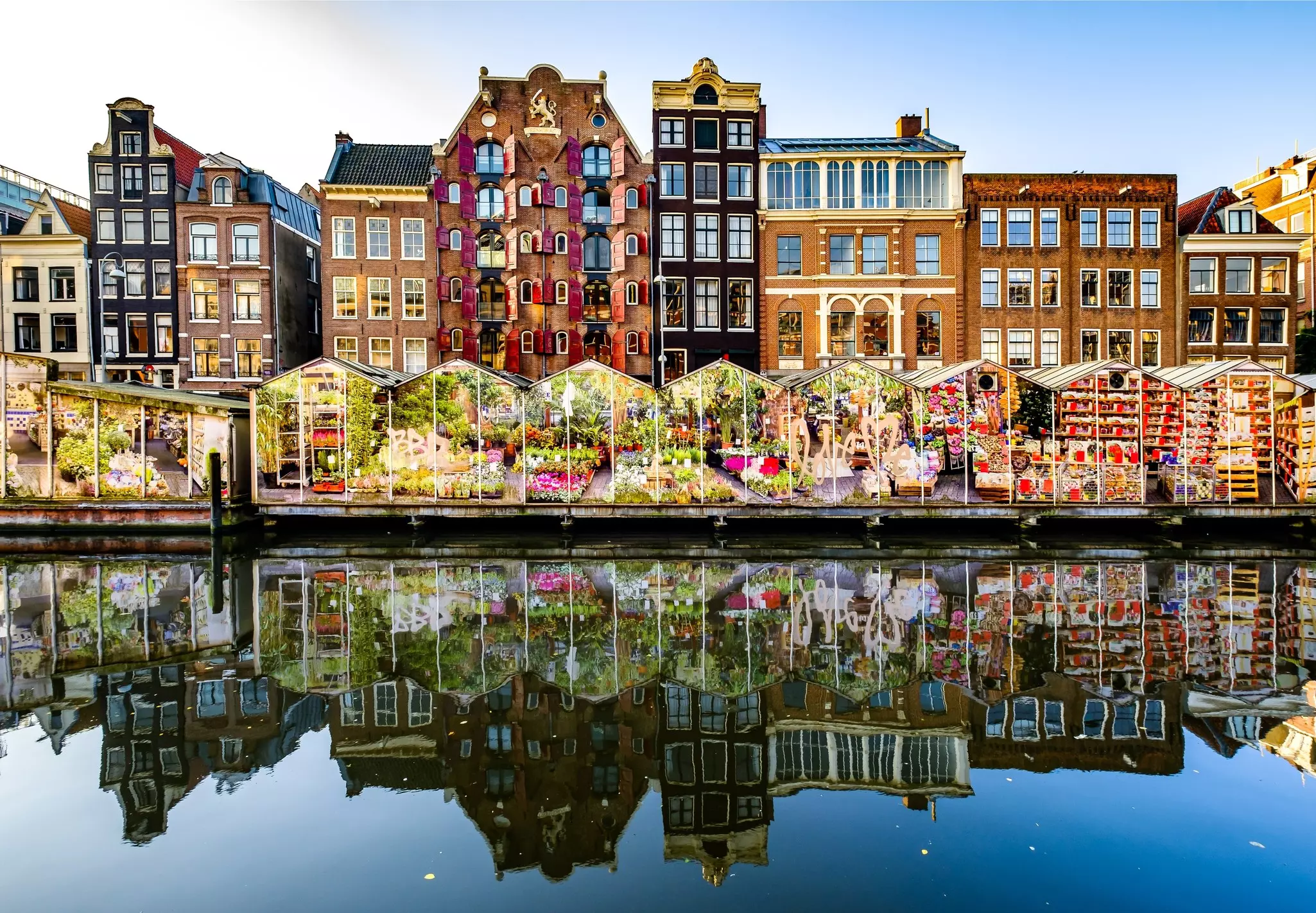 A flower market in Amsterdam in October. FooTToo/Shutterstock