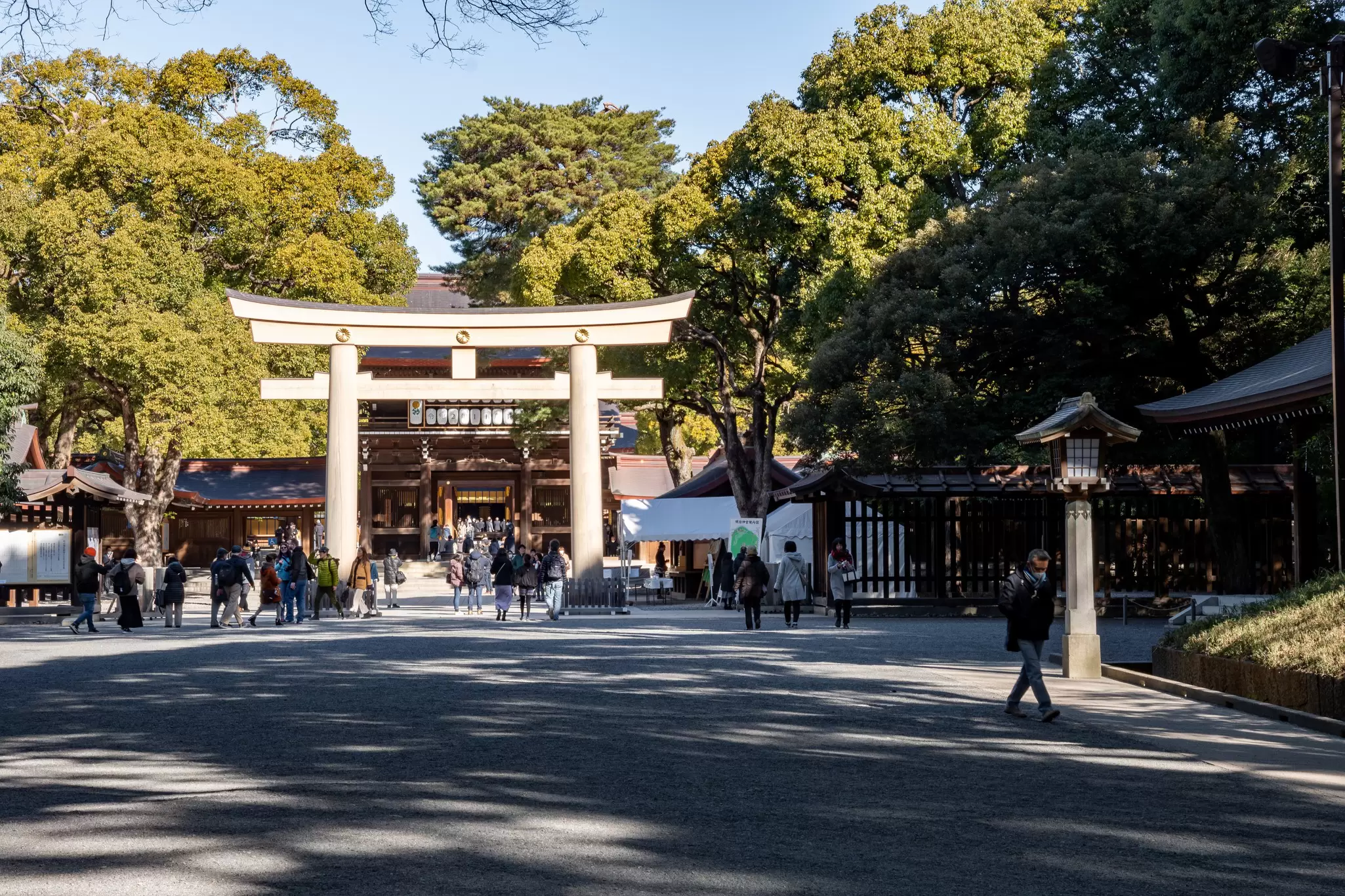 Tokyo, Japan: 9th February, 2020: Torii at the courtyard of Meiji-jingu.  License Type: media  Download Time: 2021-11-03T17:55:11.000Z  User: gwencotter  Is Editorial: Yes  purchase_order:   