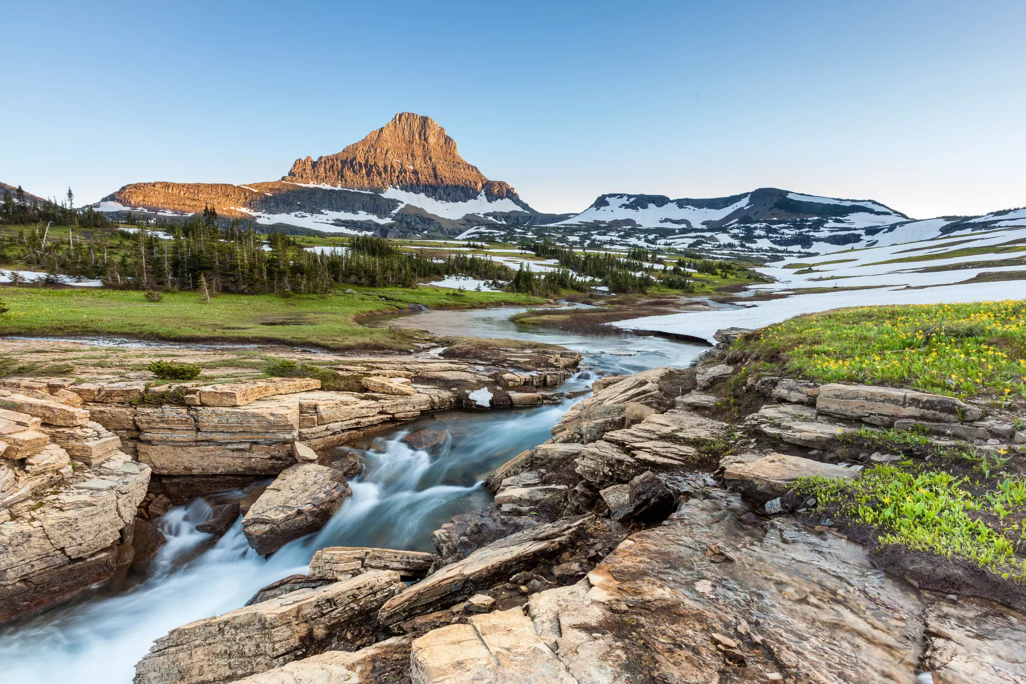 An alpine stream flows through a meadow full of yellow wildflowers.