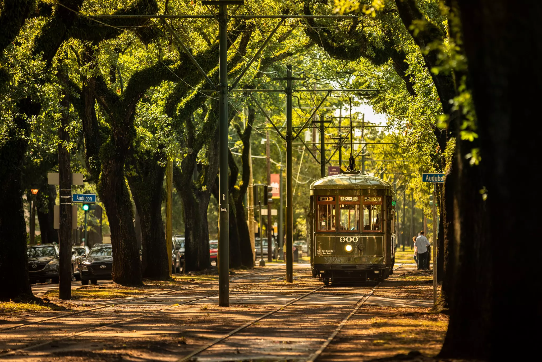 A streetcar trundles down a city street shaded by large oak trees.