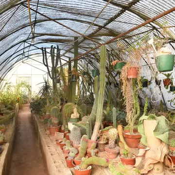 Moortens Botanical Garden and Cactarium, a private arboretum created in 1938.