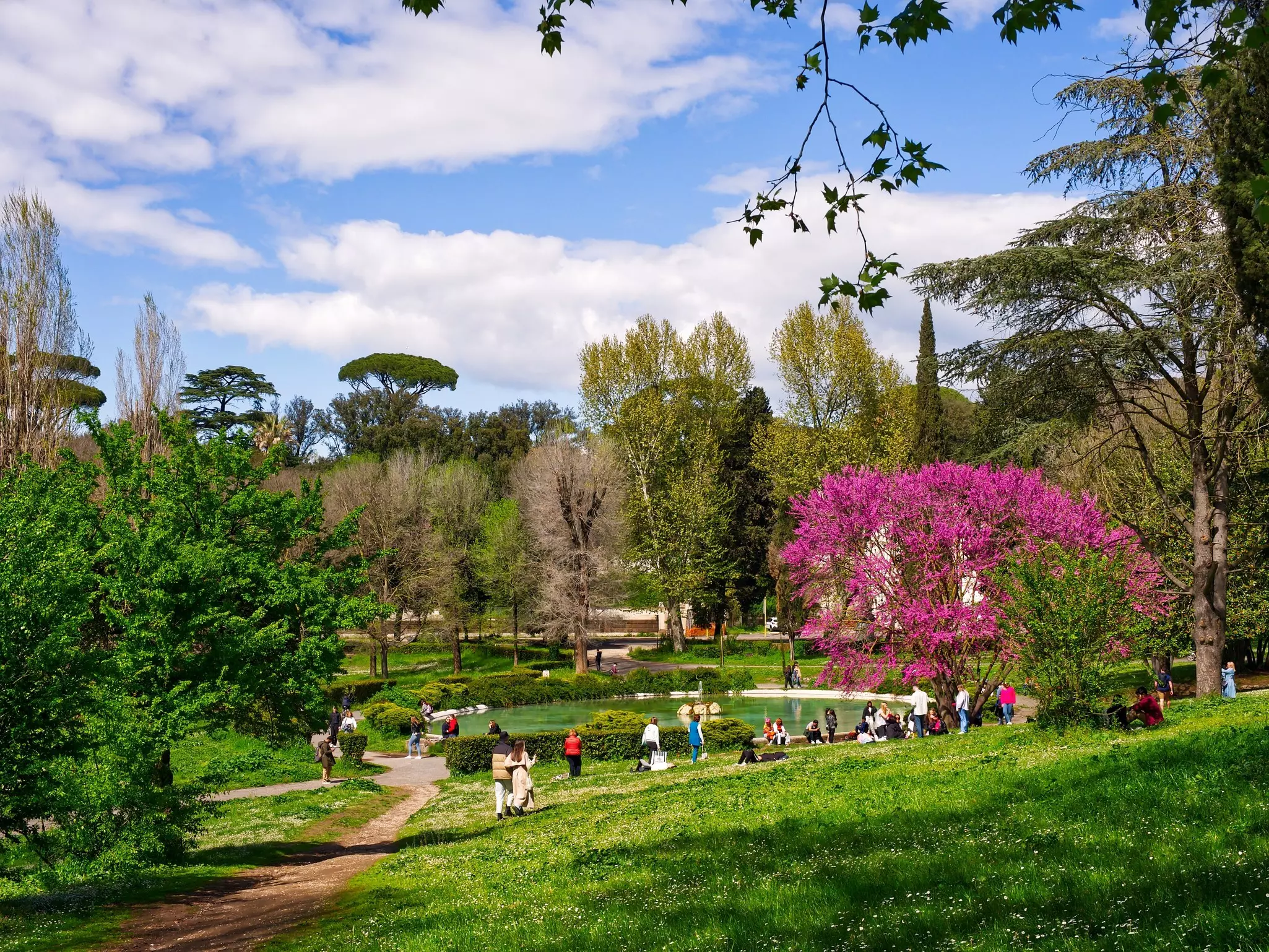People are seen on the lawn of a city park, surrounded by flowering trees.