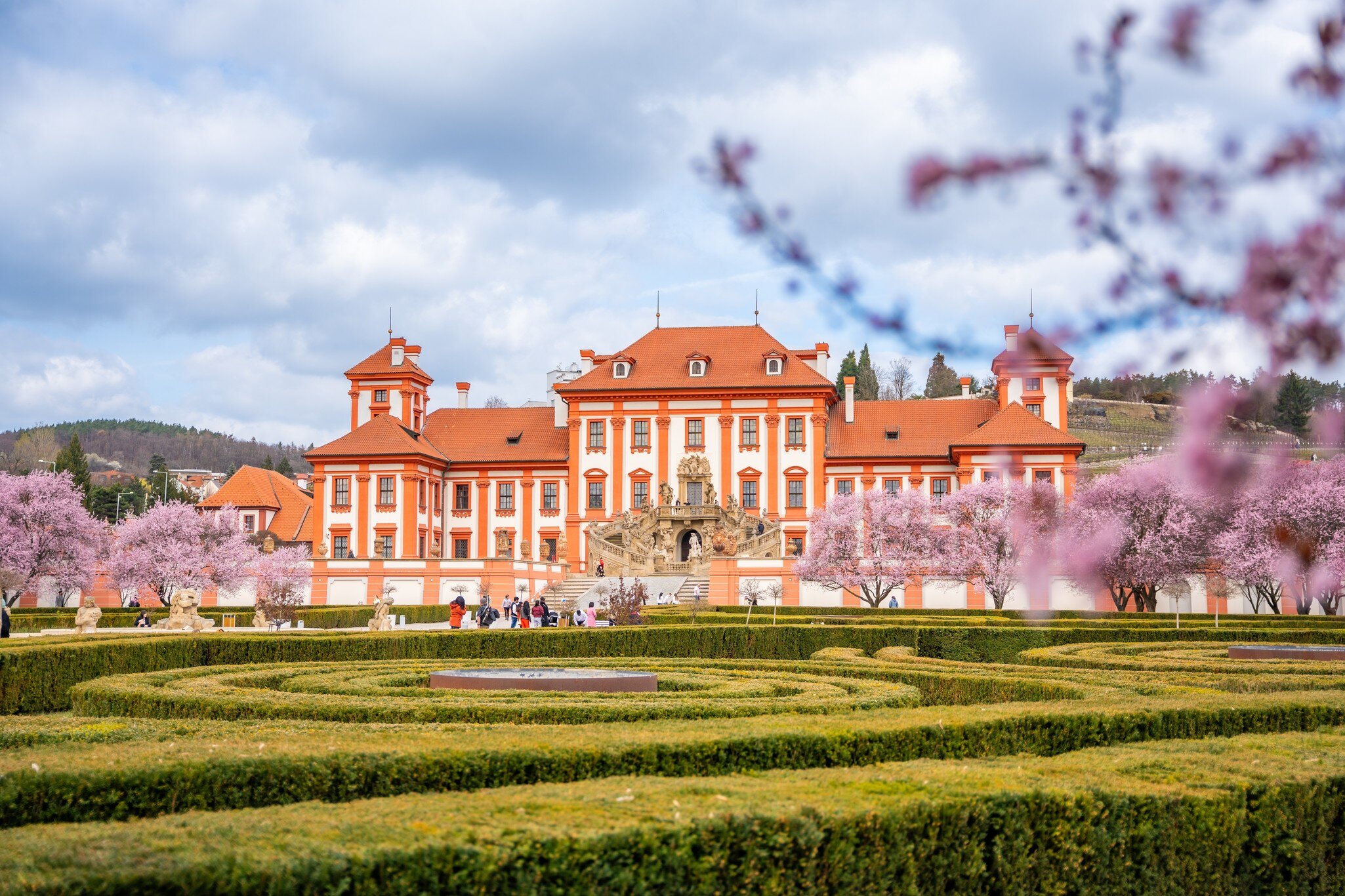 Prague, Czech Republic. Troja palace in spring with blooming sakura in Prague, Czech Republic.