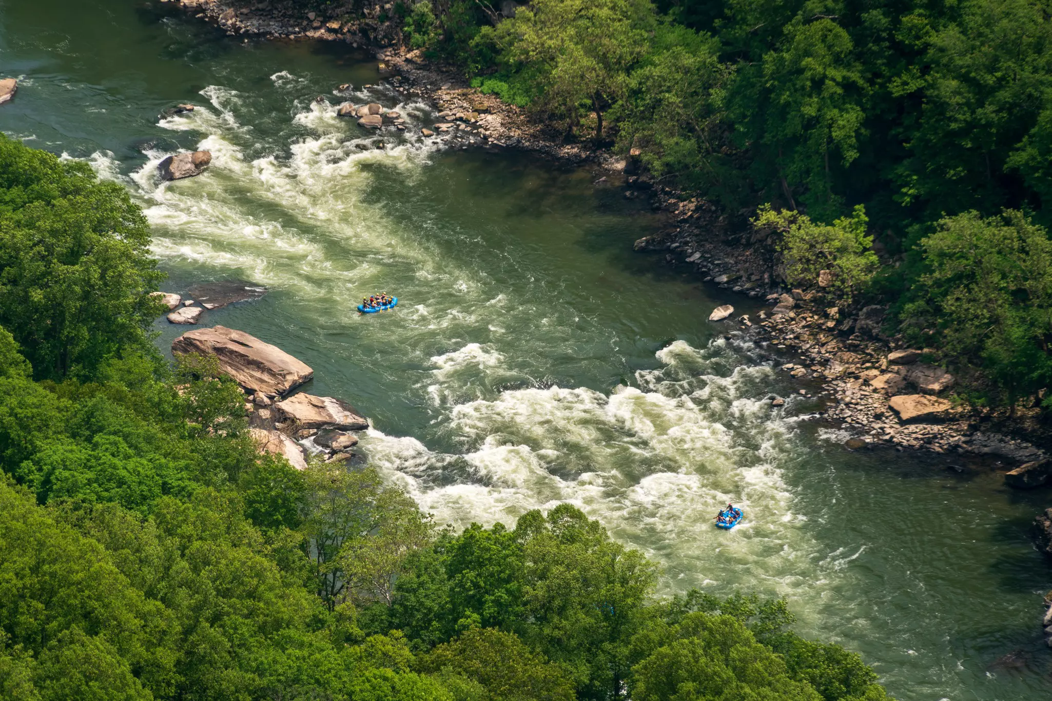 Two blue rafts either side of a massive rapid in a river that runs through thick forest