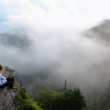 TitleTeenage girl sitting alone in misty Smoky Mountains National Park. © Joel Carillet/Getty Images