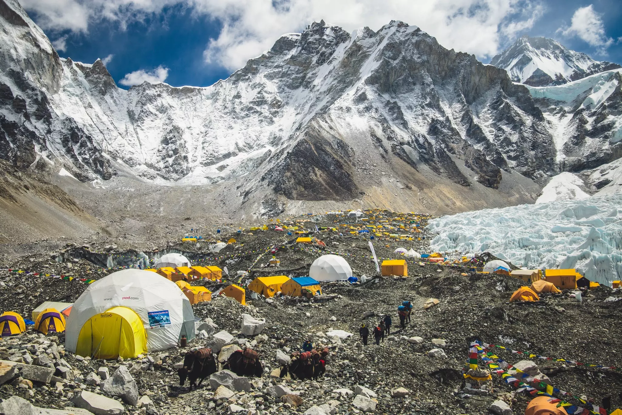 Everest Base camp -  Sagarmatha National Park, Nepal, Everest region - 19th of May 2023, License Type: media, Download Time: 2025-04-18T10:05:00.000Z, User: meg3348277, Editorial: true, purchase_order: 56530 - Guidebooks, job: Global Publishing-WIP, client: Nepal 13, other: Megan Cassidy