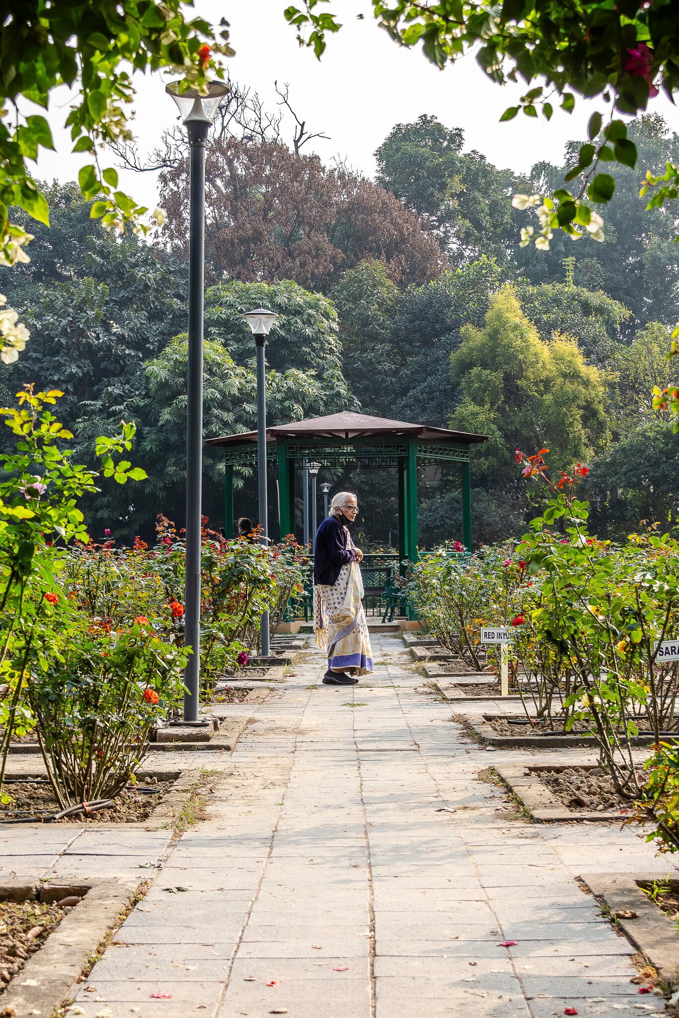 Woman in a sari standing in the Agri-Horticultural Gardens in Kolkata, West Bengal, India.