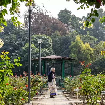Woman in a sari standing in the Agri-Horticultural Gardens in Kolkata, West Bengal, India.