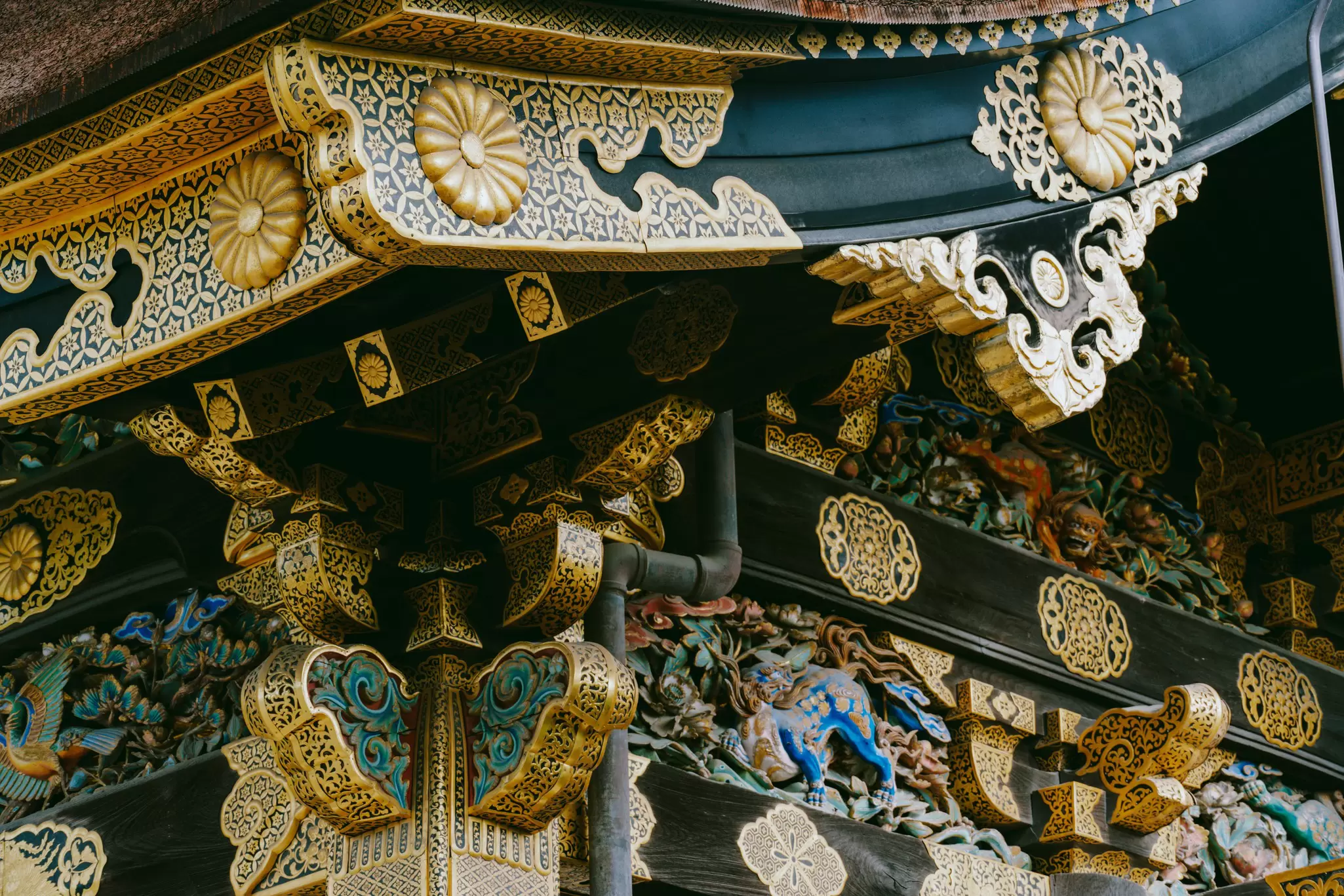 KYOTO, JAPAN. MAY 2024

Nijo Castle