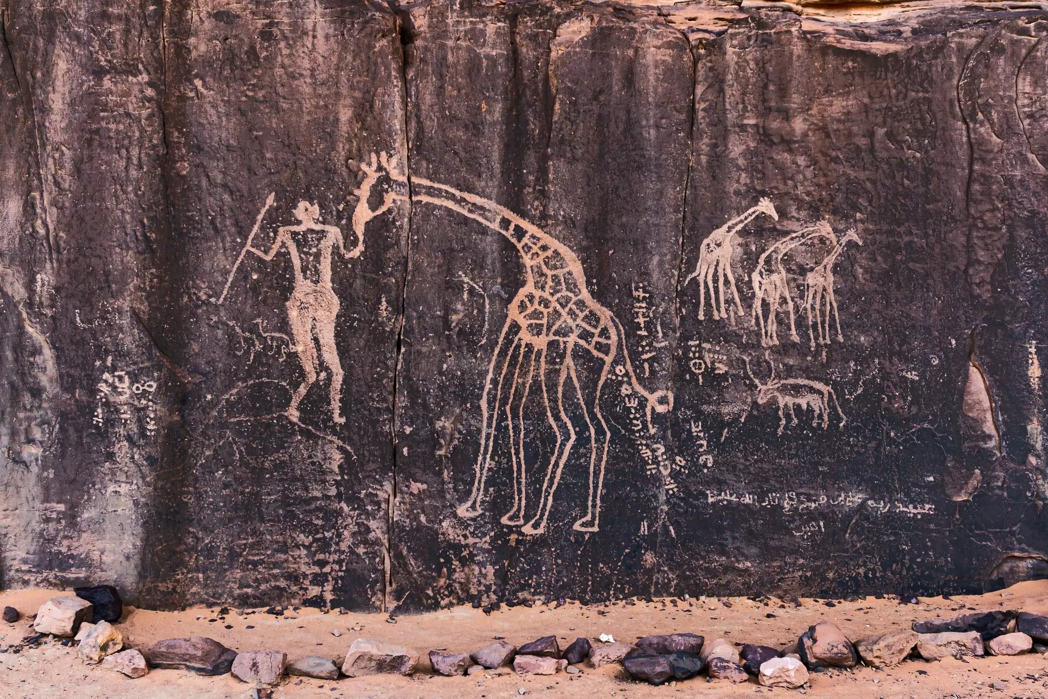 Drawings of a figure and giraffes on a dark rock in Algeria.