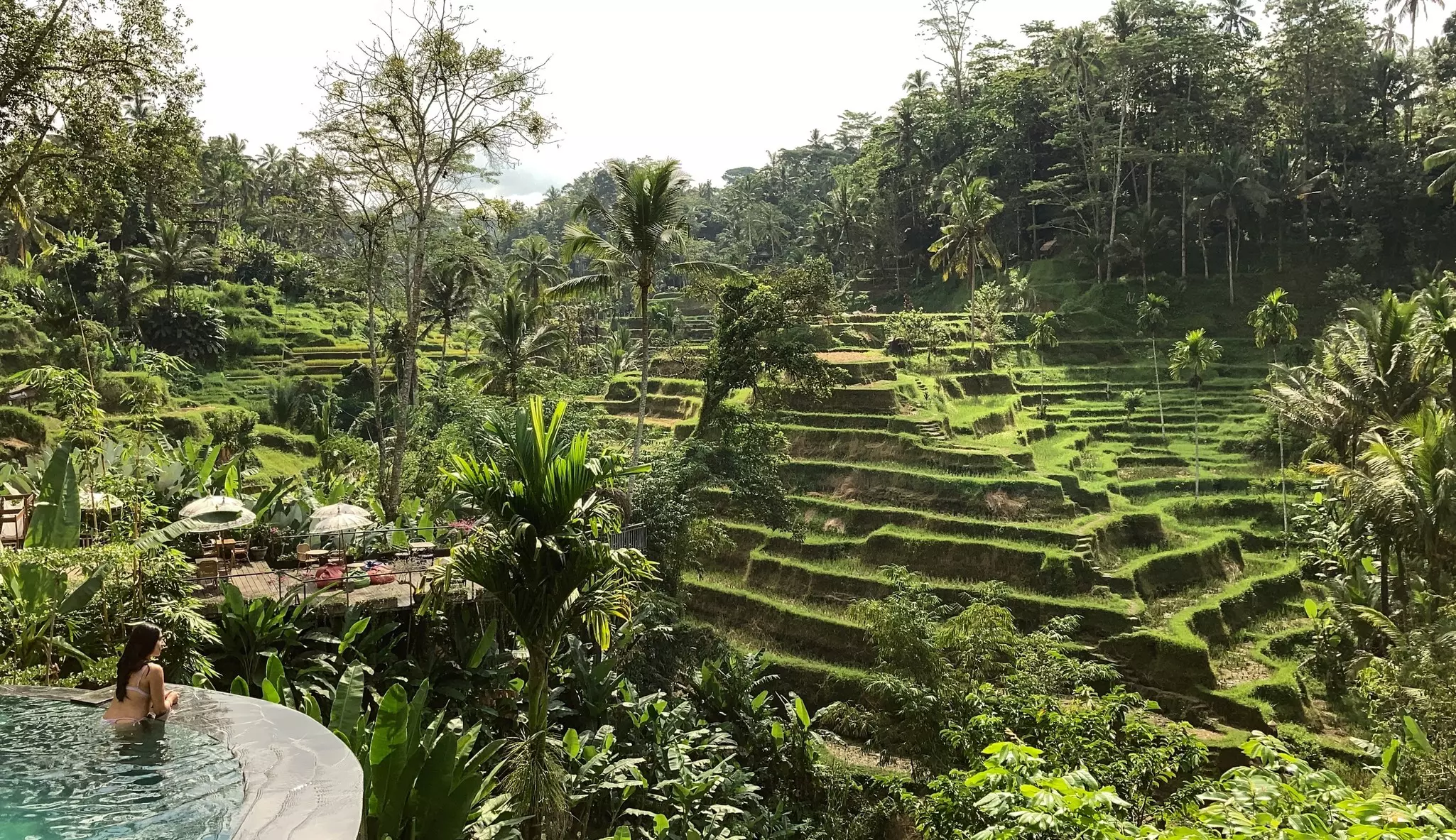A girl swims in the pool near the rice terrace in Ubud