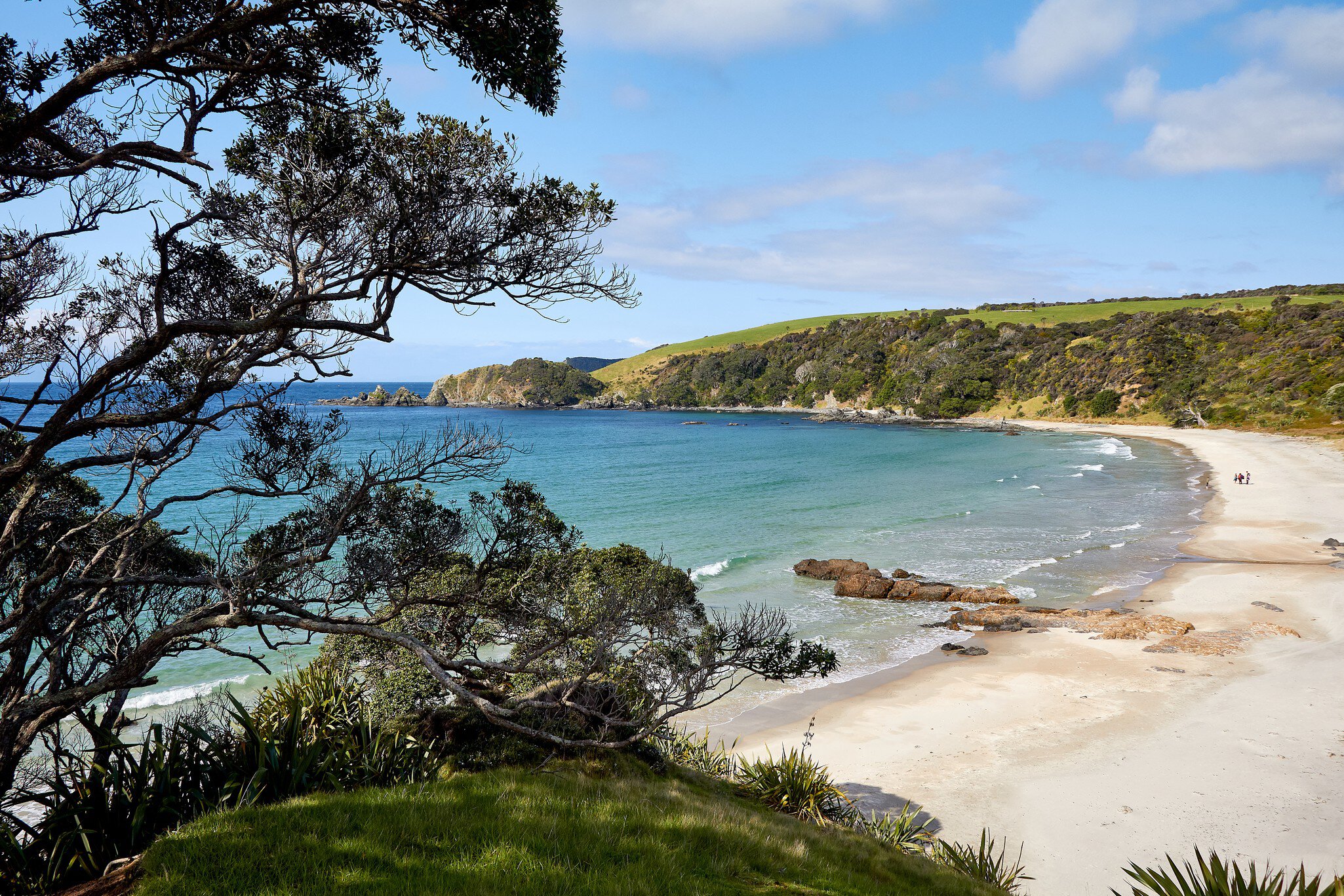 A shot of Tawharanui Regional Park north of Auckland.
