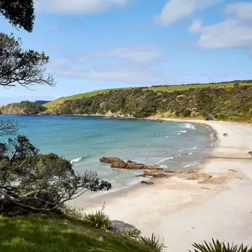 A shot of Tawharanui Regional Park north of Auckland.