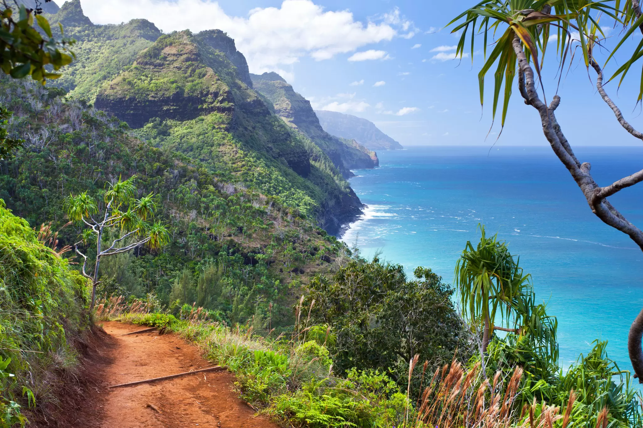 A coastal hiking trail through lush jungle: The Kalalau Trail in Kauaʻi, Hawaiʻi. 