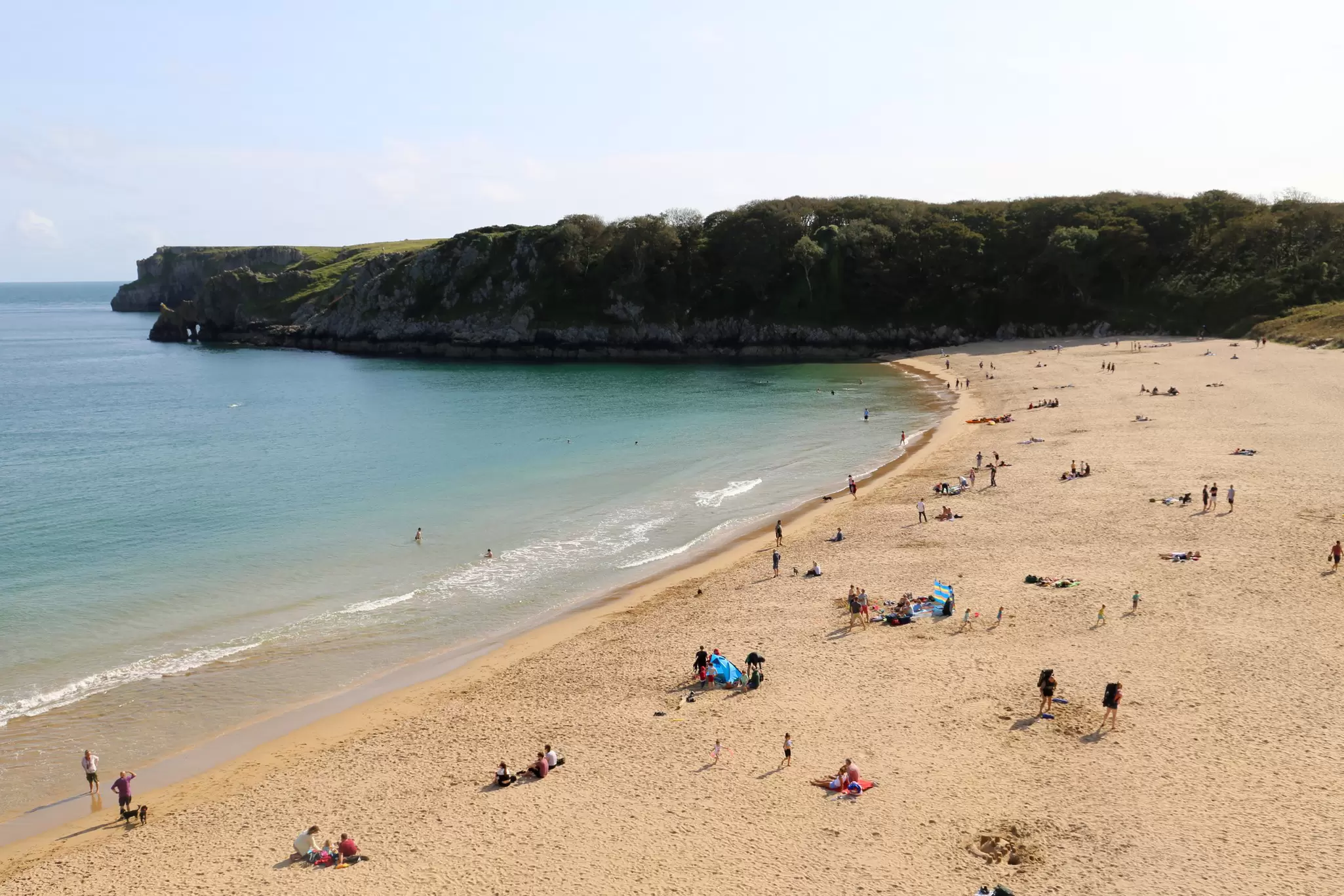 People spread across the beach cove at Barrafundle Bay in South Wales. Steep cliffs and trees in the background. 