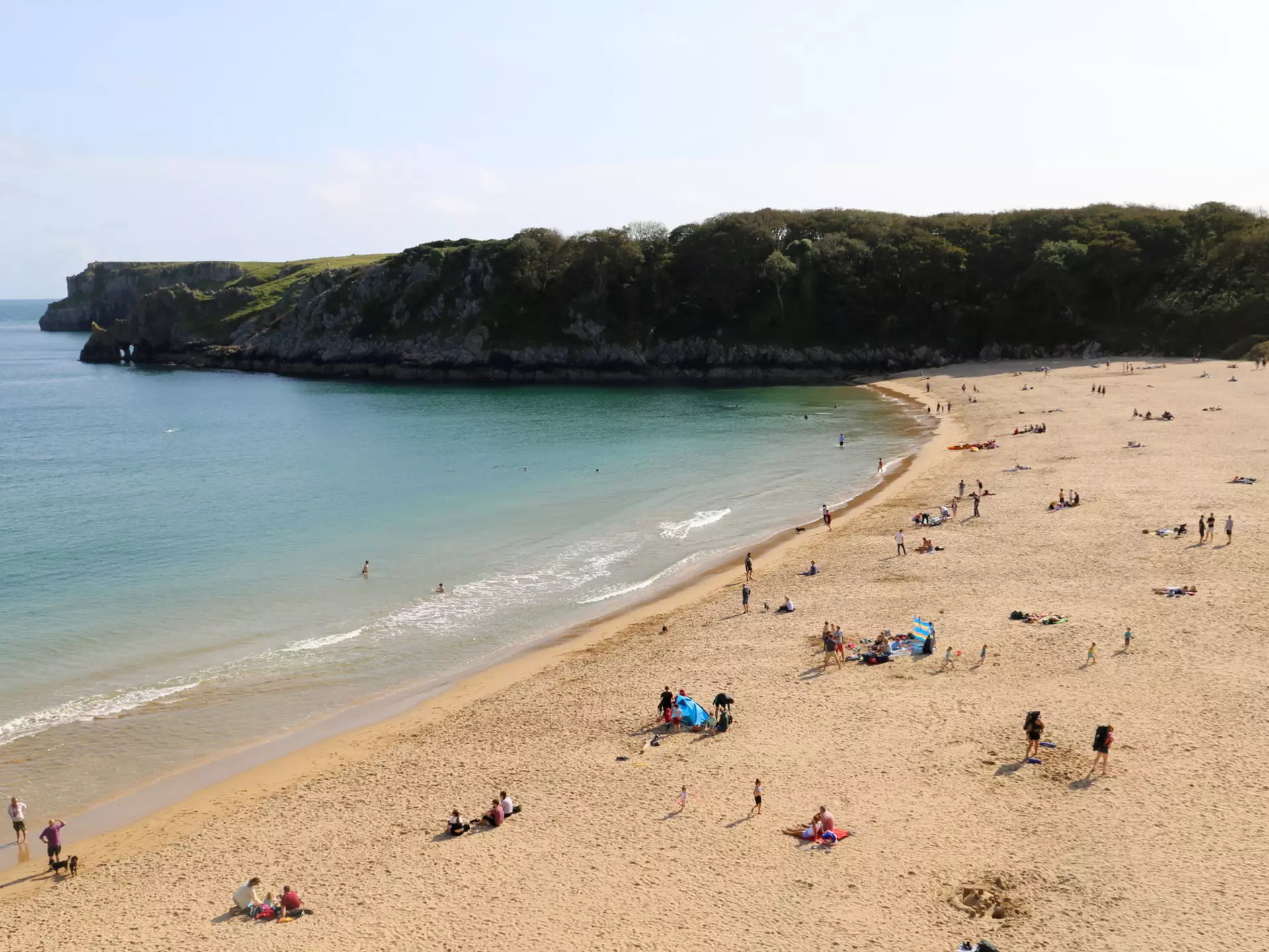 People spread across the beach cove at Barrafundle Bay in South Wales. Steep cliffs and trees in the background. 