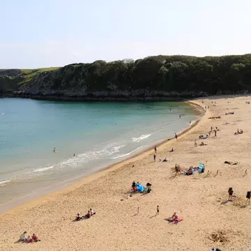 People spread across the beach cove at Barrafundle Bay in South Wales. Steep cliffs and trees in the background. 