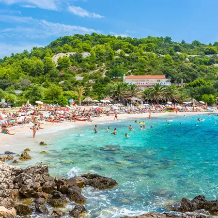 A busy beach packed with sunbathers, overlooked by a beach bar and pine forest.
