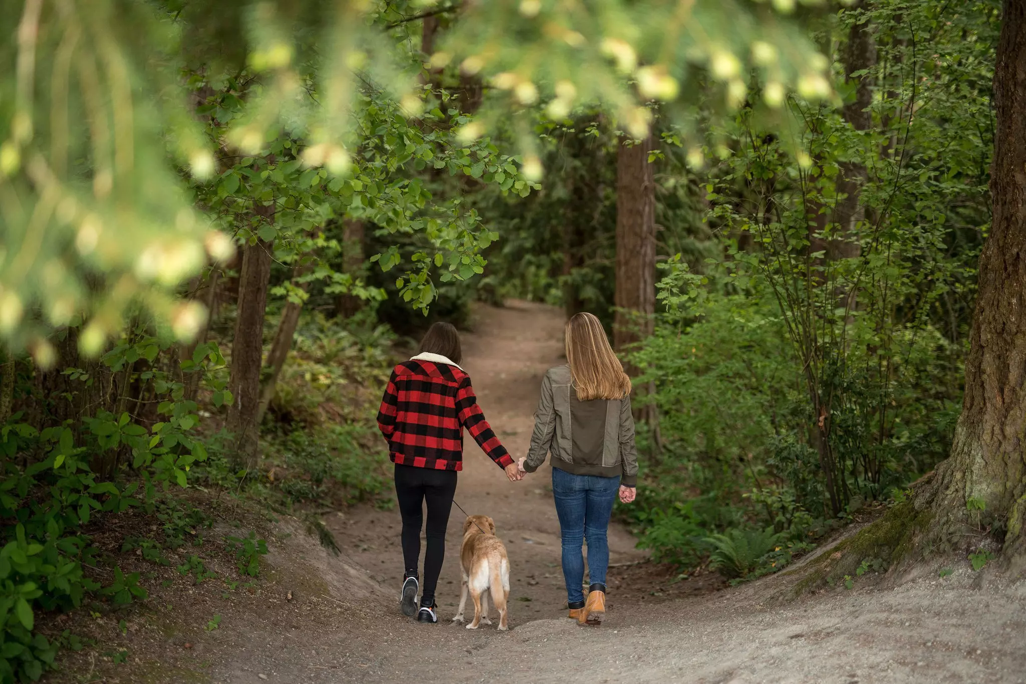 The region was surprisingly sunny in September, allowing for blissful walks in the woods © courtesy the Lodge at St Edward Park
