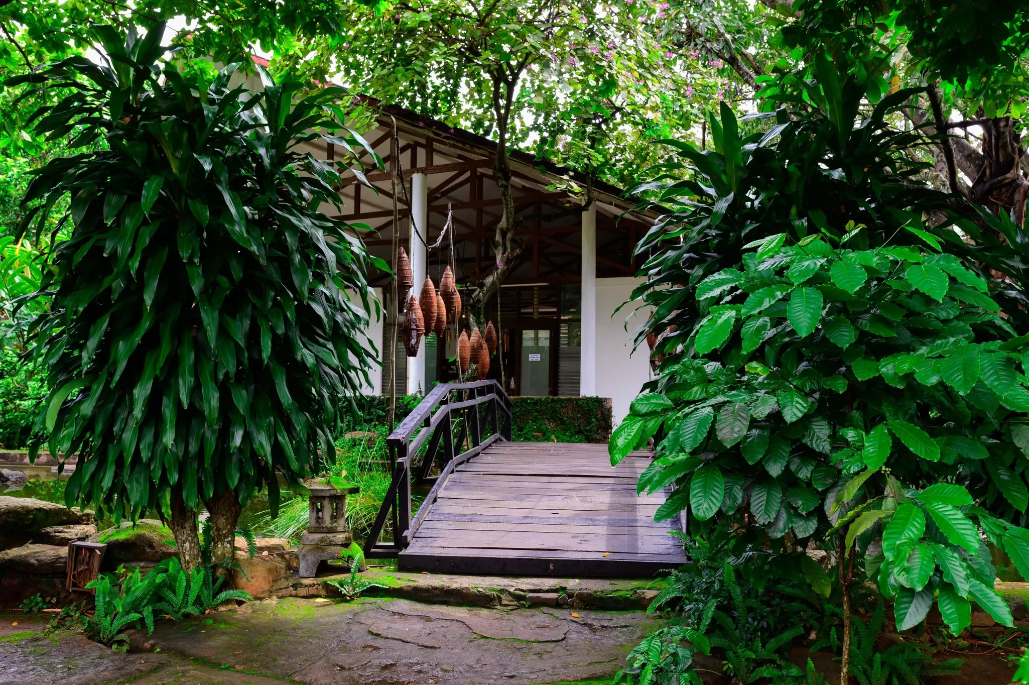 BUON ME THUOT, VIETNAM - Sep 14,2024: Coffee village at Buon Me Thuot city, Dak Lak province, Vietnam, License Type: media, Download Time: 2025-05-29T14:37:51.000Z, User: lonelyplanetmedia, Editorial: true, purchase_order: 65050 - Digital Destinations and Articles, job: Global Publishing WIP, client: Global Publishing WIP, other: Peterson Haggarty // SS Comp Ingestion