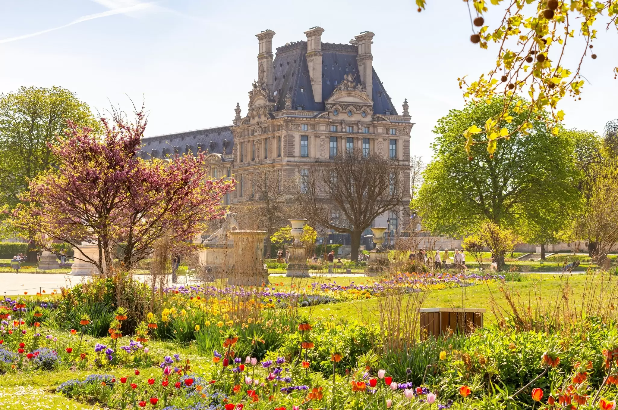 Spring flowers in Paris, France. 