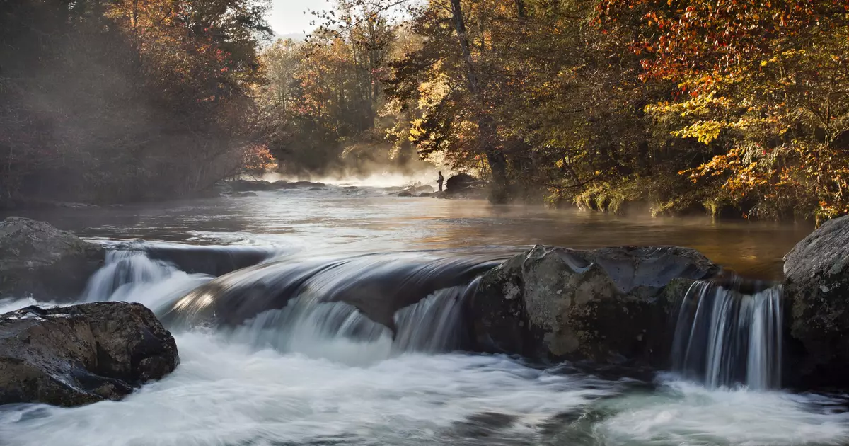 11 of the best experiences in Great Smoky Mountains National Park ...