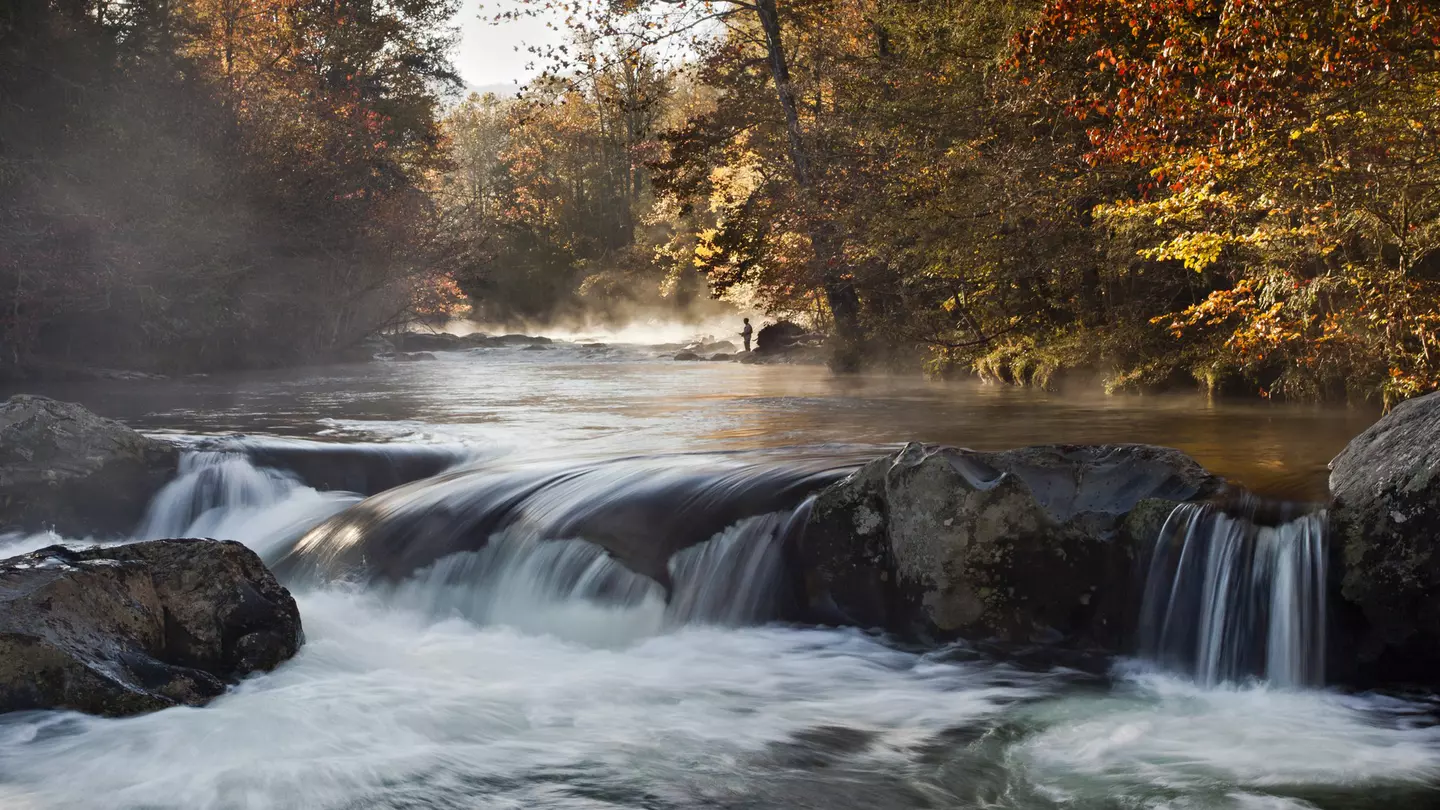 Come September and October, the fall foliage in Great Smoky Mountains National Park is spectacular © dwhob / Getty Images