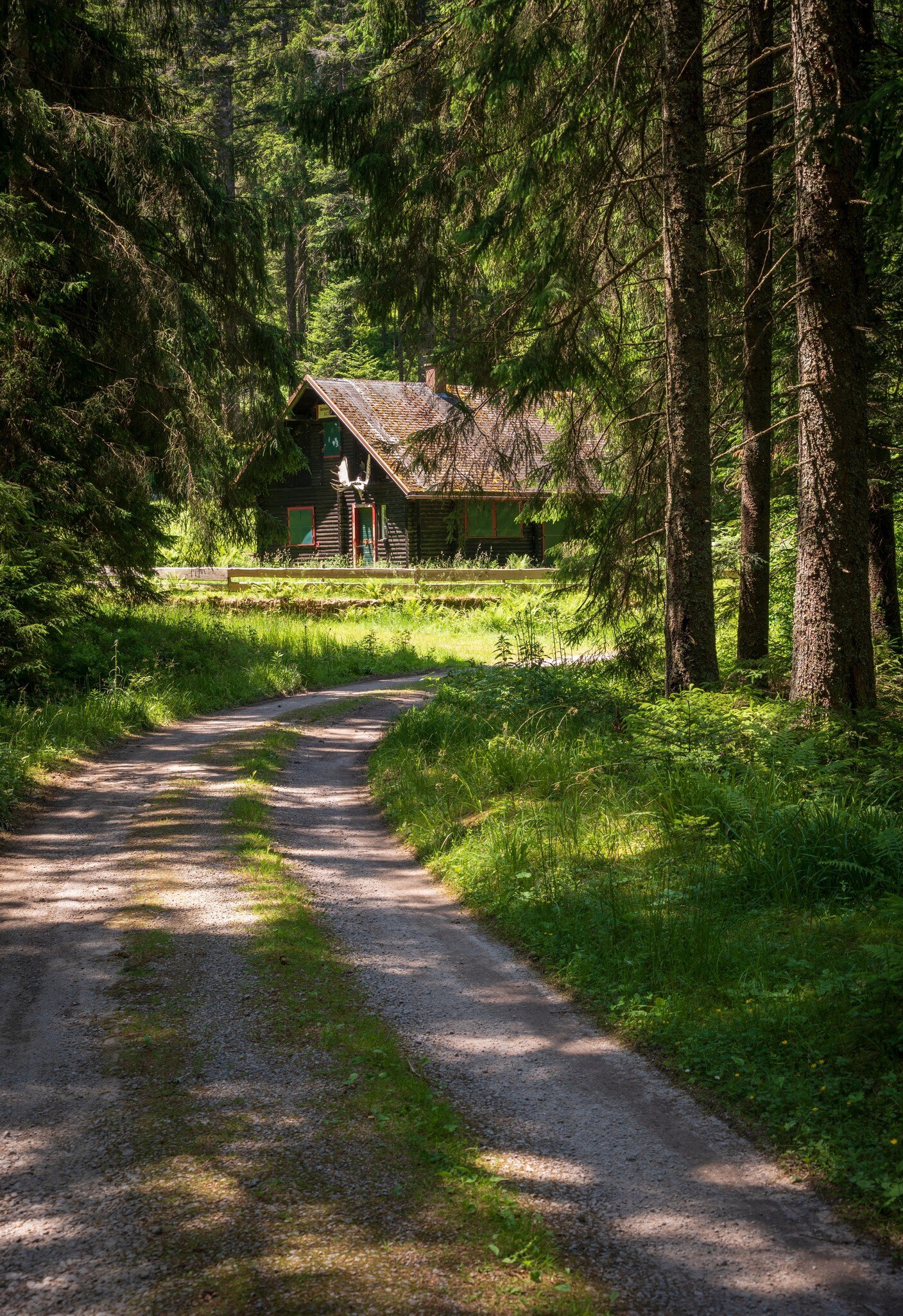 A pathway and cottage in the Nationalpark Schwarzwald, The Black Forest National Park, Germany.