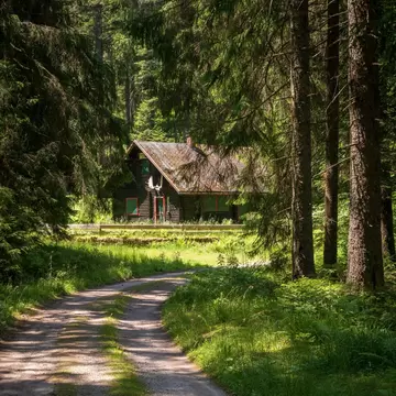 A pathway and cottage in the Nationalpark Schwarzwald, The Black Forest National Park, Germany.
